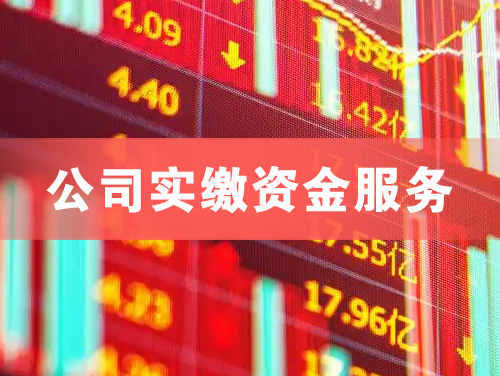 泉州公司实缴资金服务