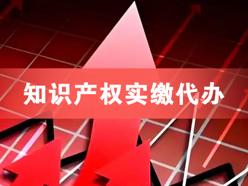 泉州知识产权实缴资本代办